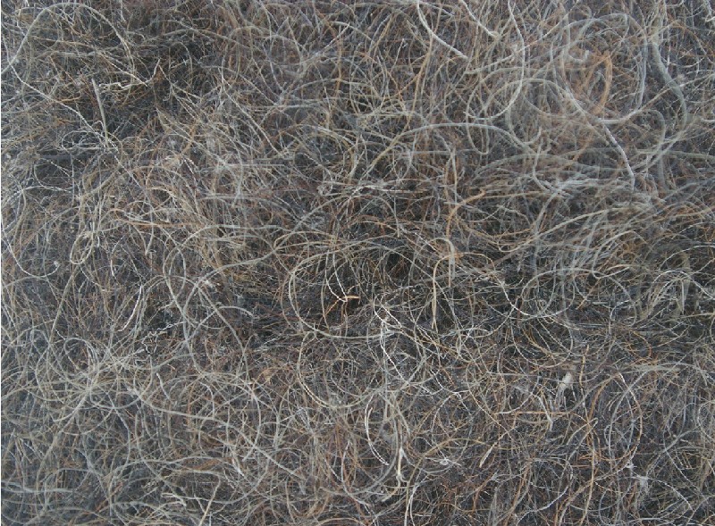 material_konska_zine